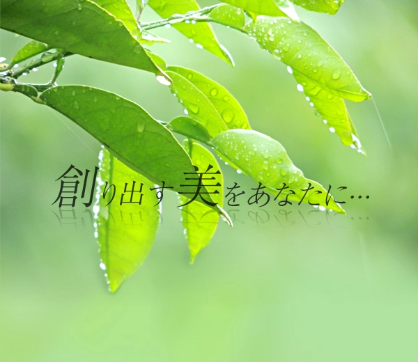 株式会社ヴュンシェ皮膚再生研究所